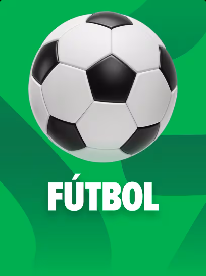 Stake